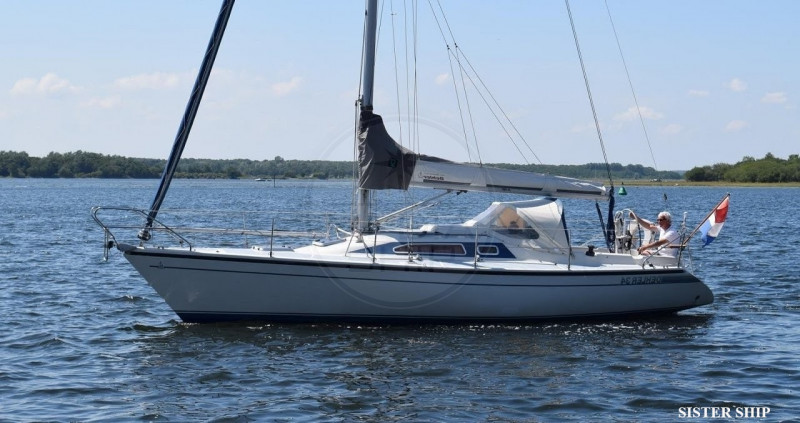 DEHLER 34 OPTIMA 101